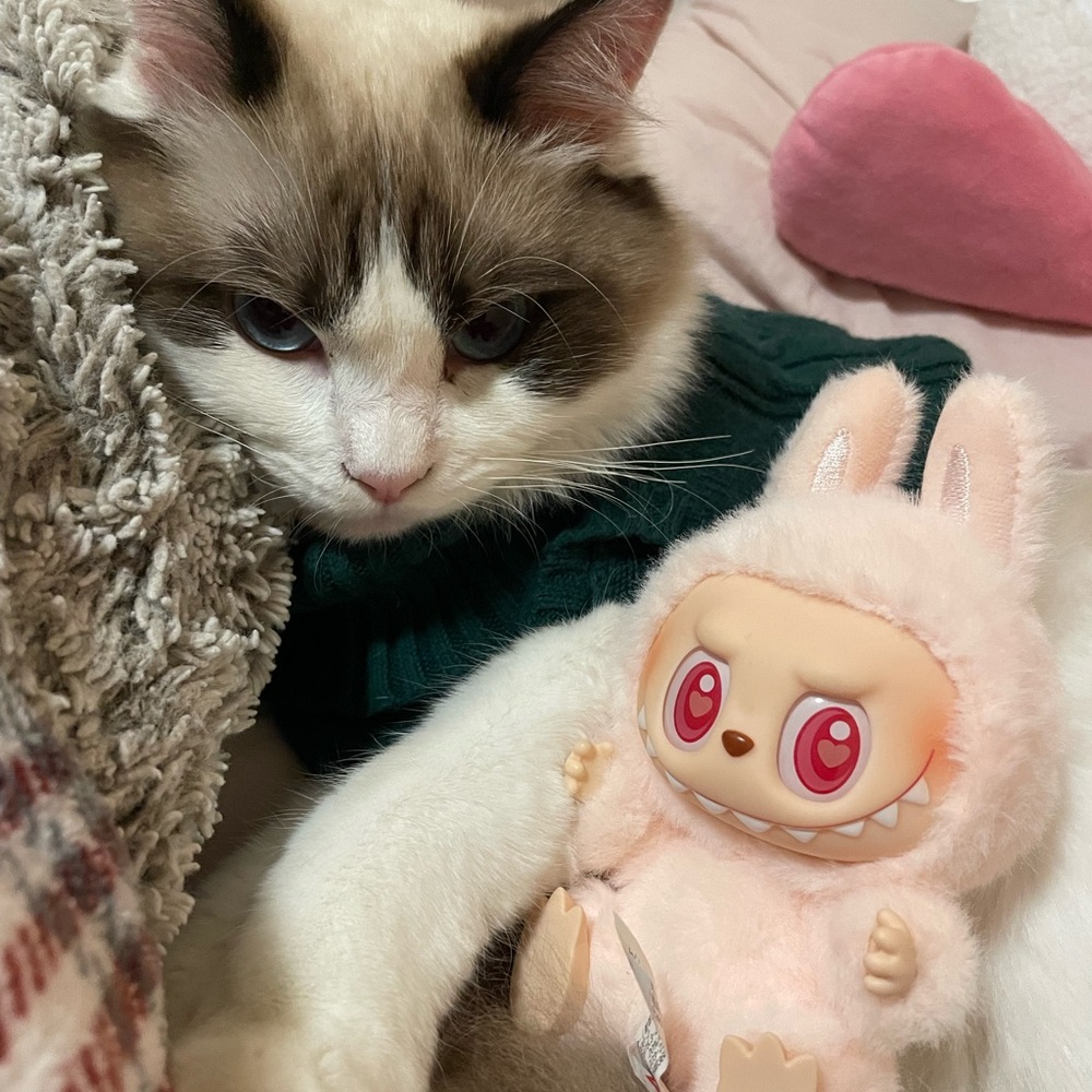 Meet your Posher, Vy